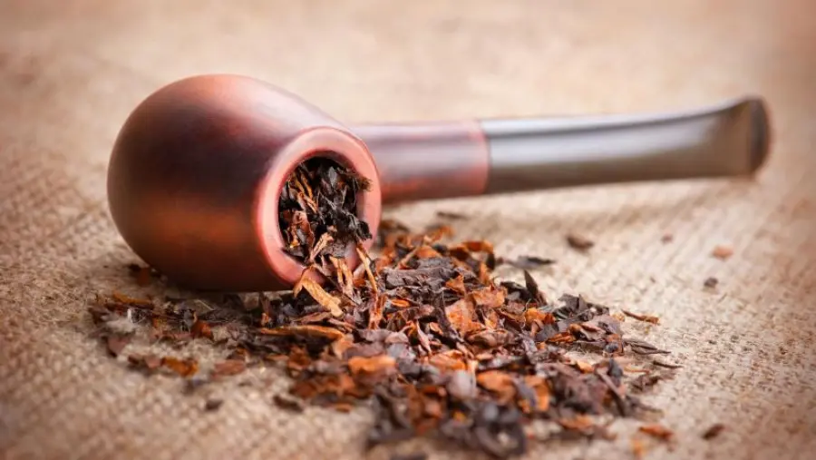 Mix di Tabacco e calendula all'epoca dei Maya: nuova ipotesi sulle abitudini del popolo
