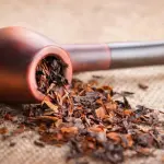 Mix di Tabacco e calendula all'epoca dei Maya: nuova ipotesi sulle abitudini del popolo