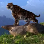 Lo sviluppo delle tigri coi denti a sciabola oggetto di un nuovo studio