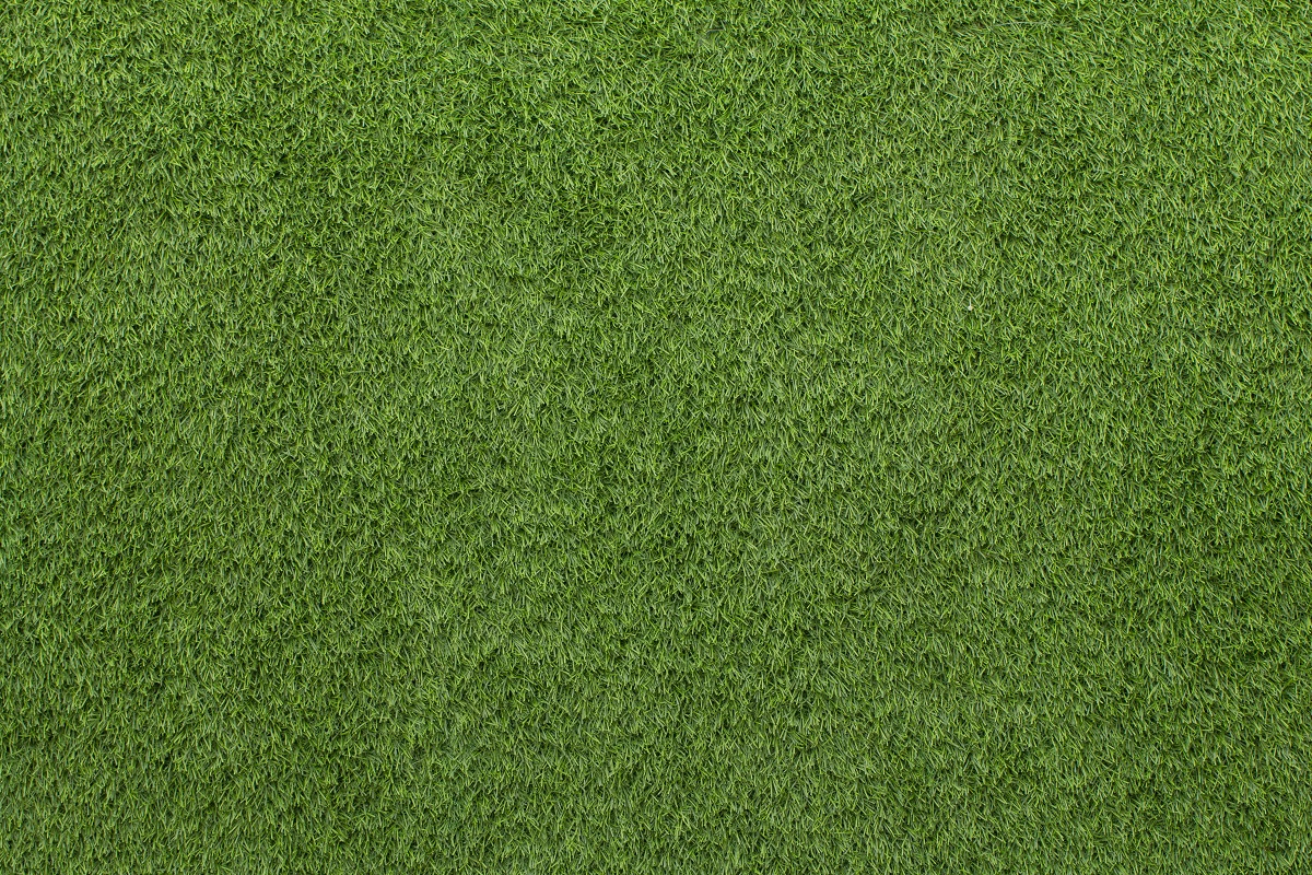 Come scegliere un tagliaerba: i migliori consigli da seguire