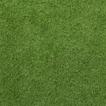 Come scegliere un tagliaerba: i migliori consigli da seguire