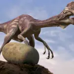 Ritrovate ossa fossili di nuovi dinosauri: lo studio