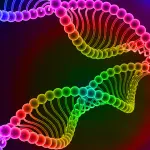 La microgravità può alterare i geni: lo studio