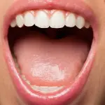 Scoperto nuovo organo nella cavità orale dell'uomo