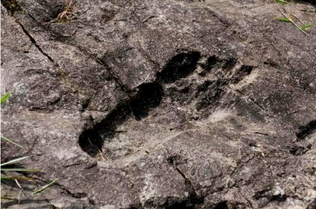 Trovate orme vecchie di 12 mila anni: le deduzioni degli studiosi