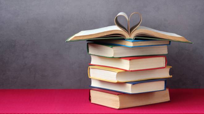 Le Maldice cercano un libraio per la biblioteca: posto da sogno?