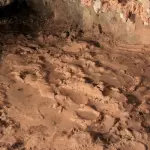 Impronte trovate in Arabia spiegano come hanno funzionato le migrazioni umane