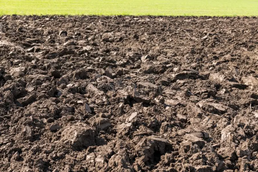 I terreni da coltivare si stanno ormai diradando: lo studio