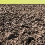 I terreni da coltivare si stanno ormai diradando: lo studio